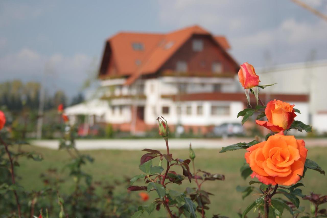Hotel Garden Club ブラショフ エクステリア 写真